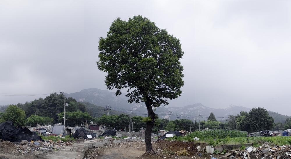 〈은평 뉴타운 2지구 2006〉 065～206 사진파일