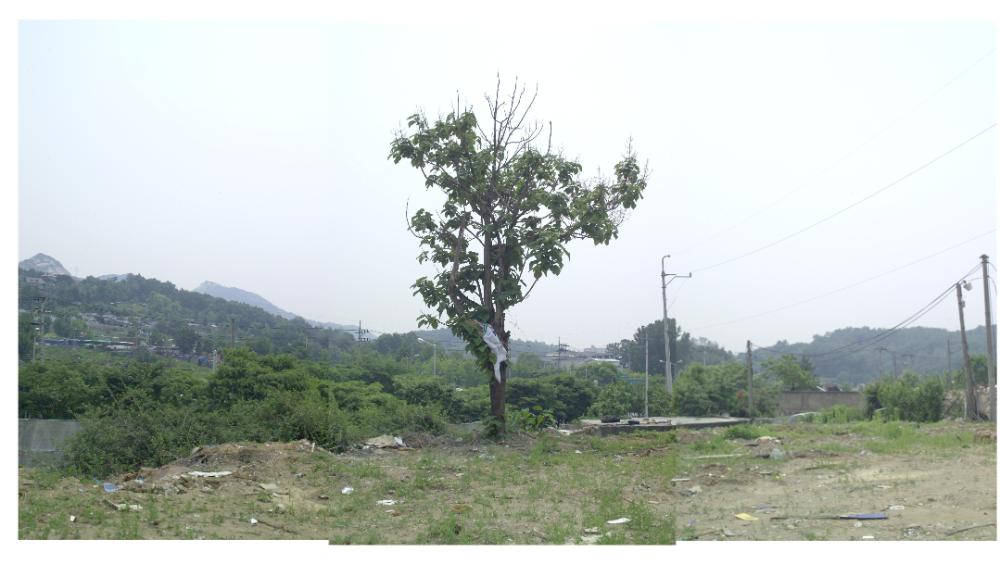 〈은평 뉴타운 2지구 2006〉 065～206 사진파일