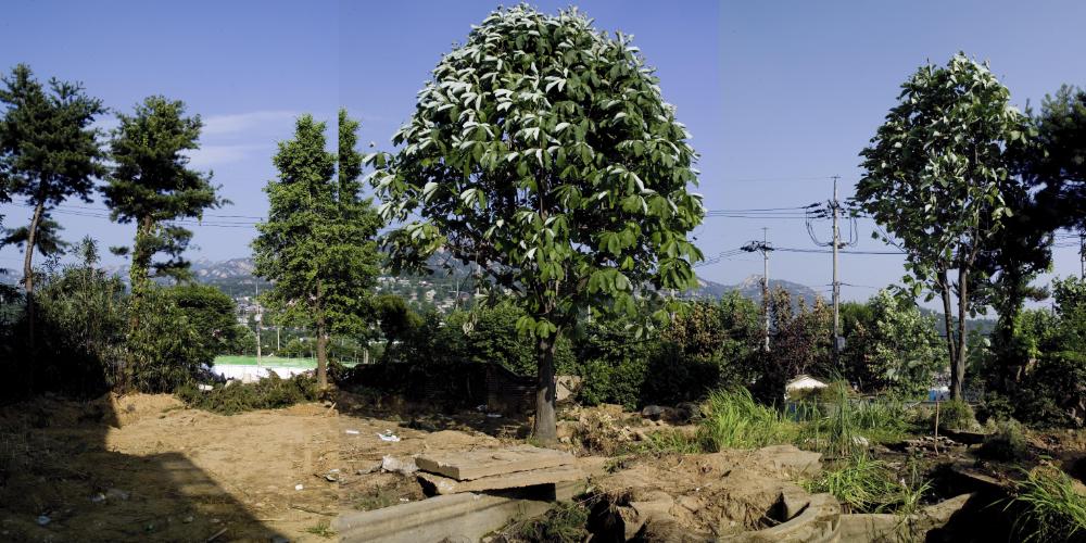 〈은평 뉴타운 2지구 2006〉 065～206 사진파일