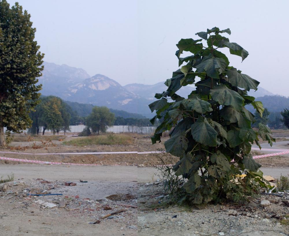 〈은평 뉴타운 2지구 2006〉 065～206 사진파일