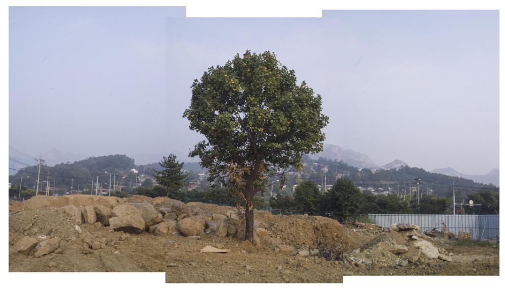 〈은평 뉴타운 2지구 2006〉 065～206 사진파일