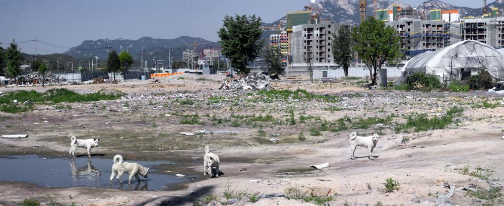 〈한양주택 3-1지구 2008〉 079～114 사진파일