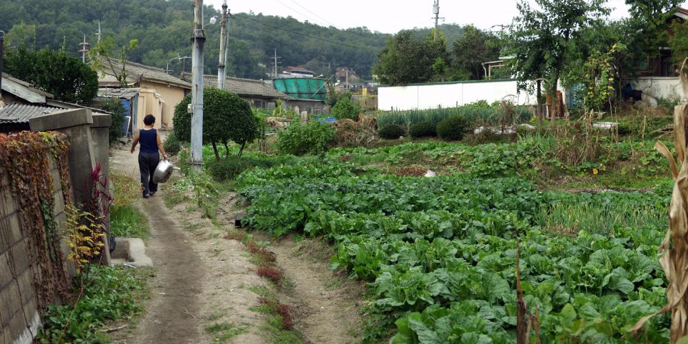 〈은평 뉴타운 3-2지구 2005〉 038～047 사진파일 7