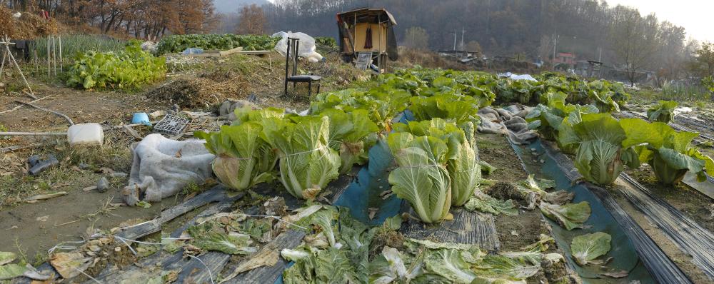 〈폭포동 2004〉 012～051 사진파일