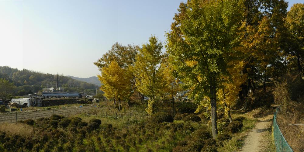 〈폭포동 2004〉 012～051 사진파일
