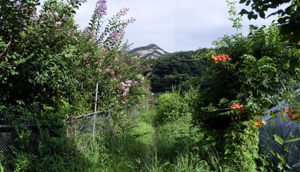 〈폭포동 2006〉 082～174 사진파일 3