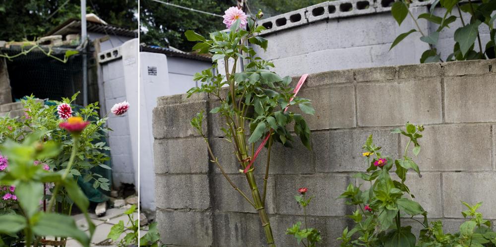 〈폭포동 2006〉 082～174 사진파일