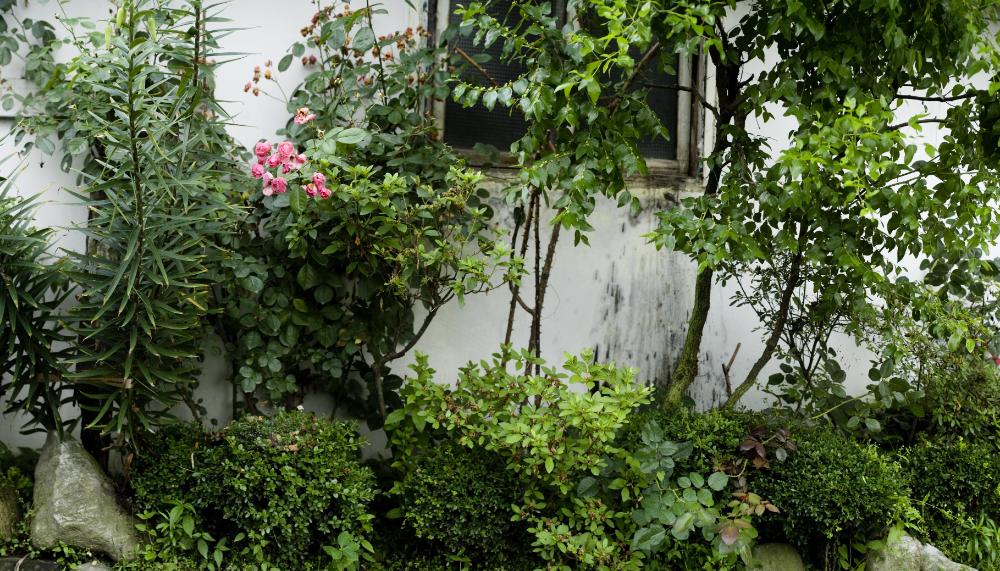 〈폭포동 2006〉 082～174 사진파일