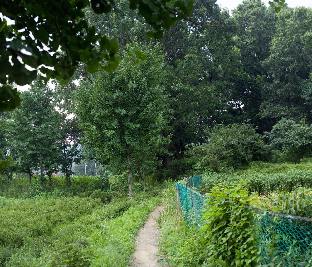〈폭포동 2006〉 082～174 사진파일