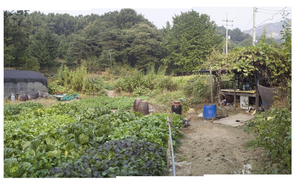 〈폭포동 2006〉 082～174 사진파일