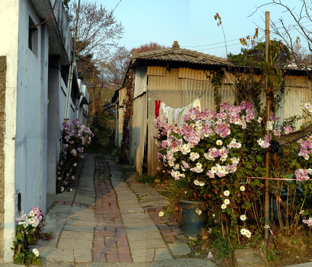 〈폭포동 2006〉 082～174 사진파일