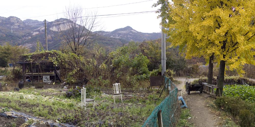 〈폭포동 2006〉 082～174 사진파일