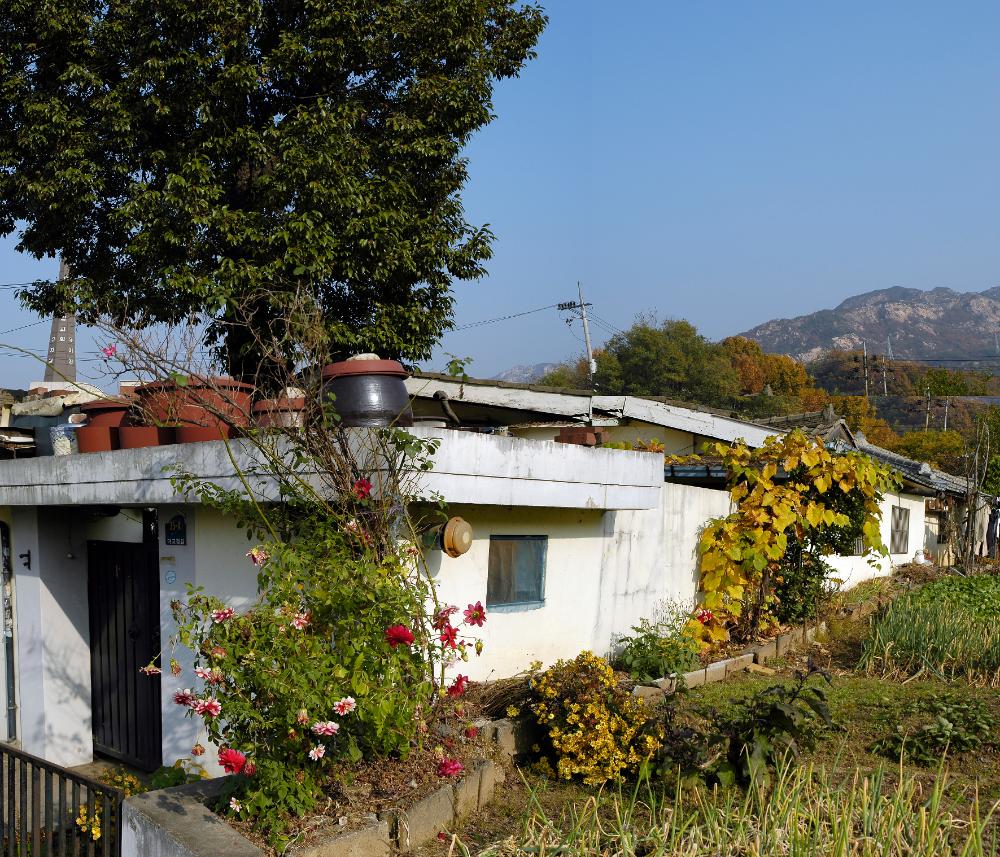 2021년 《은평뉴타운의 기억, 강홍구 사진전：집 꽃 마을…》 출품작 인쇄용 사진파일 5