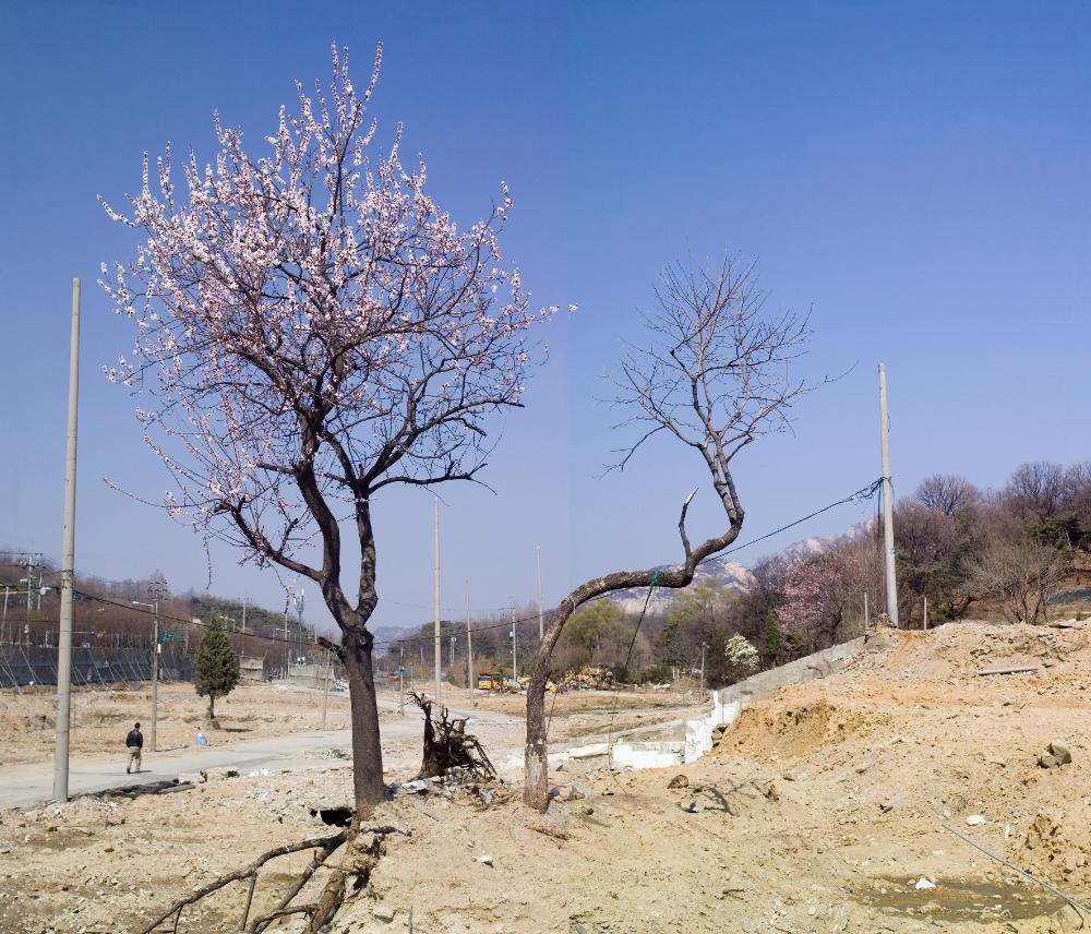 2021년 《은평뉴타운의 기억, 강홍구 사진전：집 꽃 마을…》 출품작 인쇄용 사진파일 8