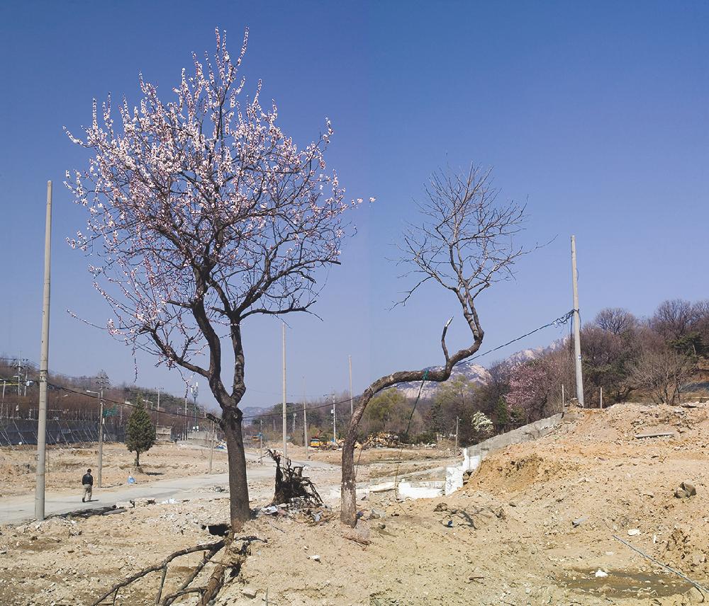 2021년 《은평뉴타운의 기억, 강홍구 사진전：집 꽃 마을…》출품작 중 액자 제작 대상 작품을 모은 사진파일 5