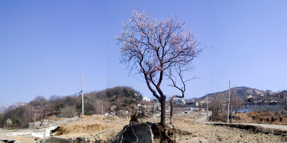 2001년부터 2015까지 촬영한 사진을 모아 제작한 〈은평 뉴타운 연대기〉 사진파일