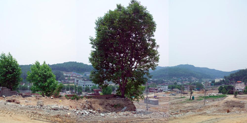 2001년부터 2015까지 촬영한 사진을 모아 제작한 〈은평 뉴타운 연대기〉 사진파일