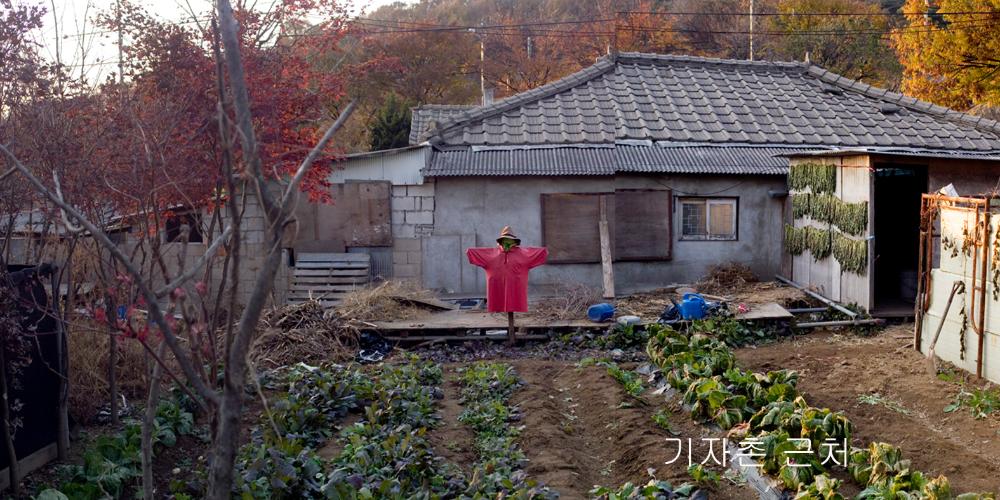 2001년부터 2021까지 촬영한 사진을 모아 제작한 〈은평 뉴타운 연대기〉 사진파일