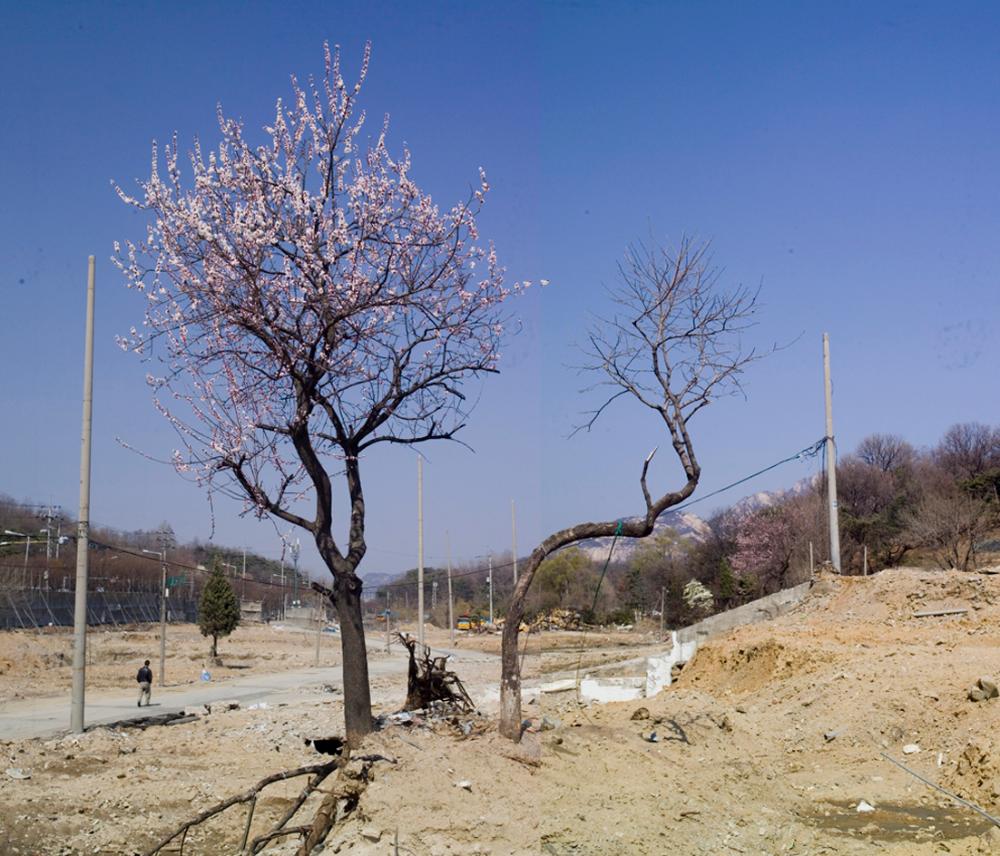 2001년부터 2021까지 촬영한 사진을 모아 제작한 〈은평 뉴타운 연대기〉 사진파일