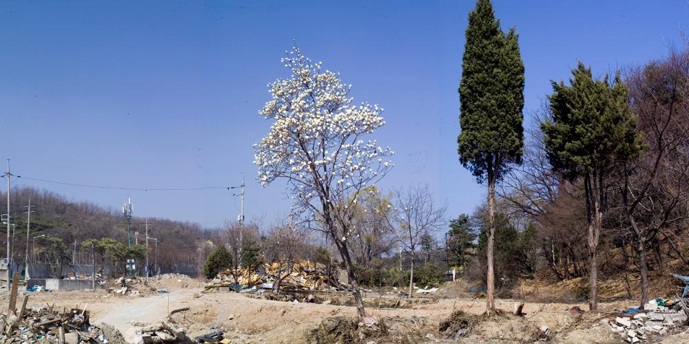 2001년부터 2021까지 촬영한 사진을 모아 제작한 〈은평 뉴타운 연대기〉 사진파일