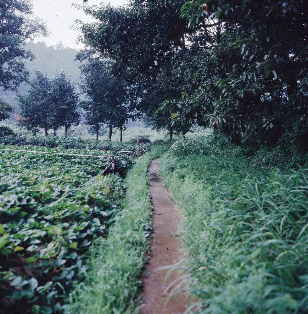 2006년 폭포동 사진파일