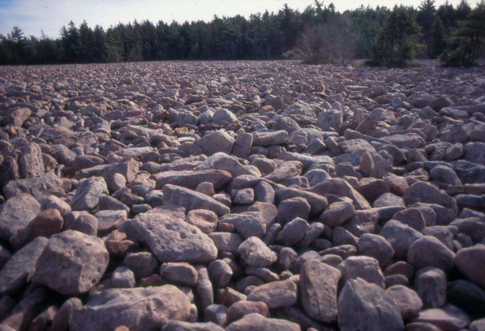 자갈밭 시리즈 참고사진 2 2