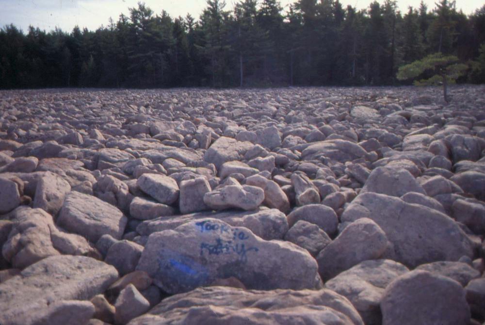 자갈밭 시리즈 참고사진 2 4