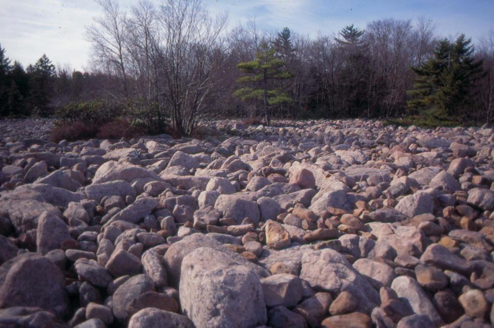 자갈밭 시리즈 참고사진 2 5