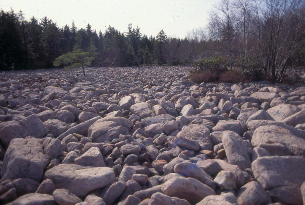 자갈밭 시리즈 참고사진 2 6