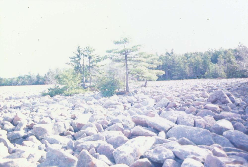 자갈밭 시리즈 참고사진 2 7