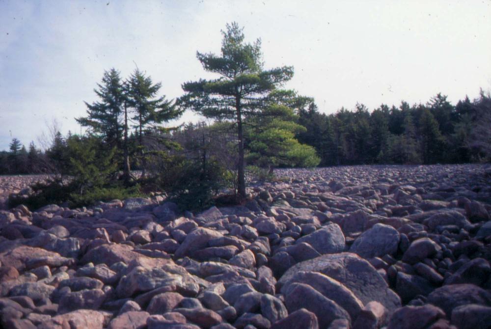 자갈밭 시리즈 참고사진 2 8