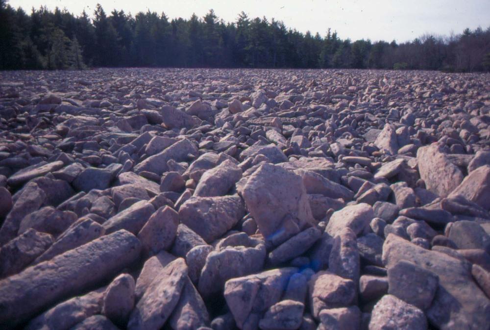 자갈밭 시리즈 참고사진 2