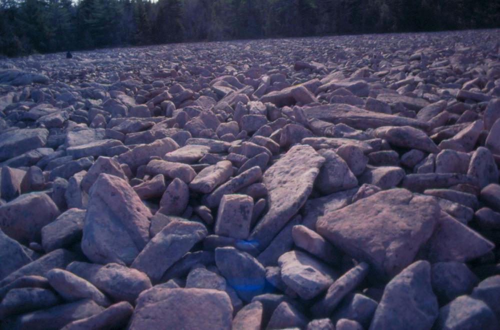 자갈밭 시리즈 참고사진 2