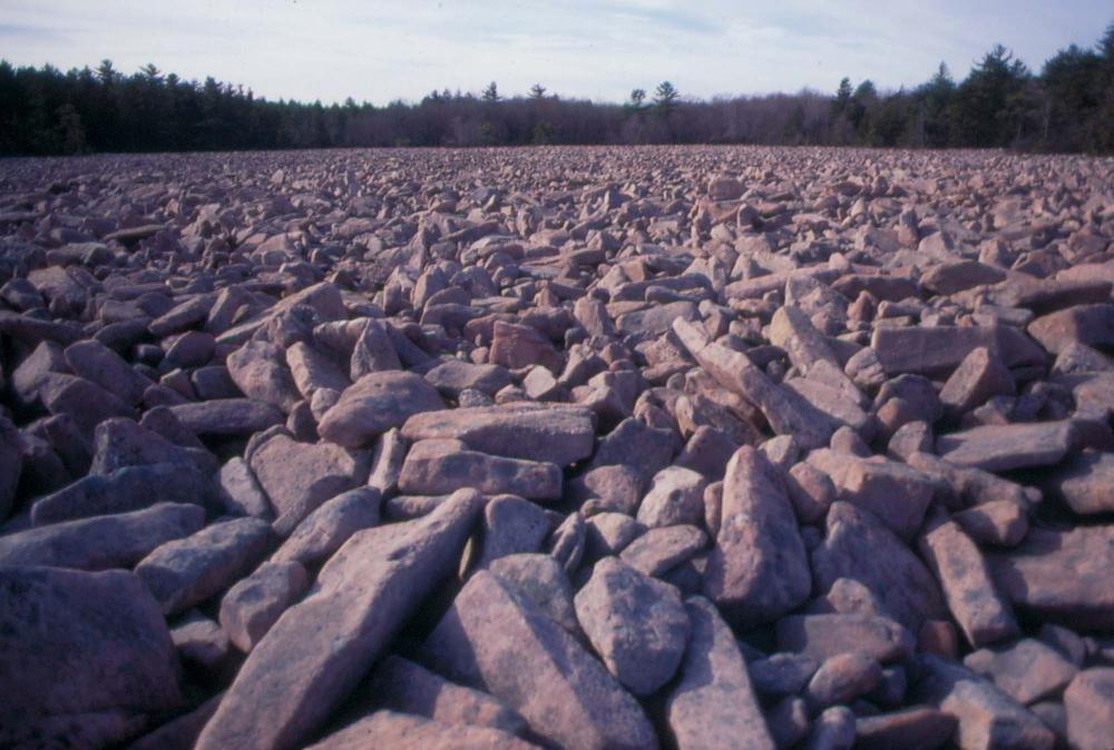 자갈밭 시리즈 참고사진 2