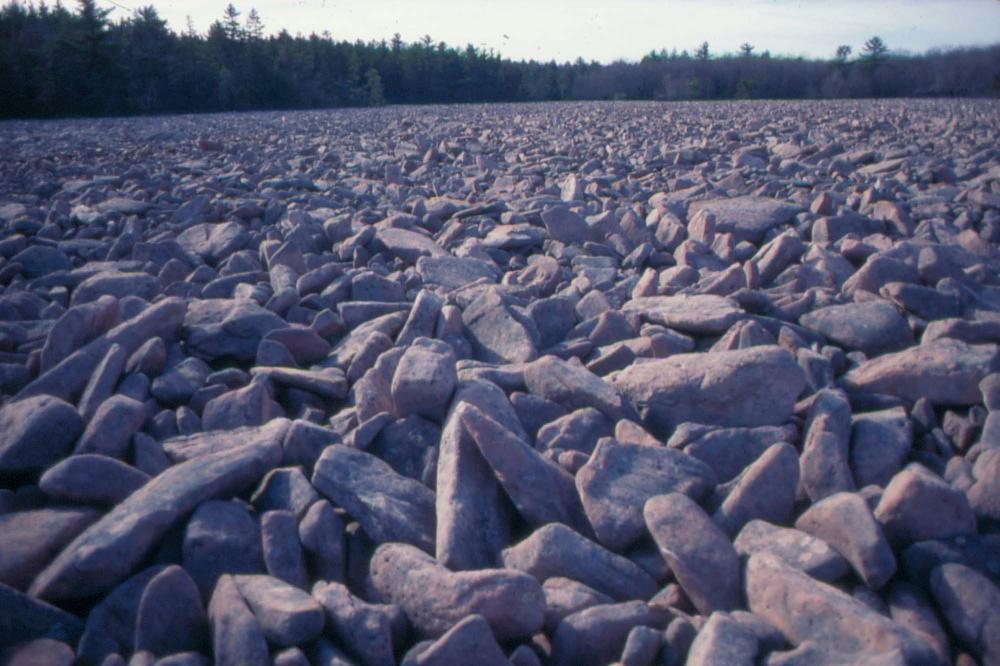 자갈밭 시리즈 참고사진 2