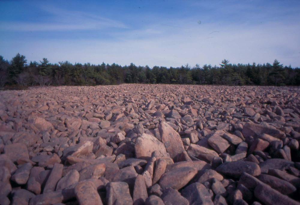 자갈밭 시리즈 참고사진 2