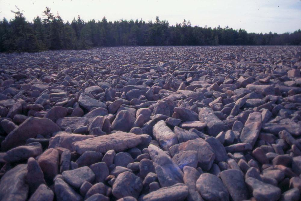 자갈밭 시리즈 참고사진 2