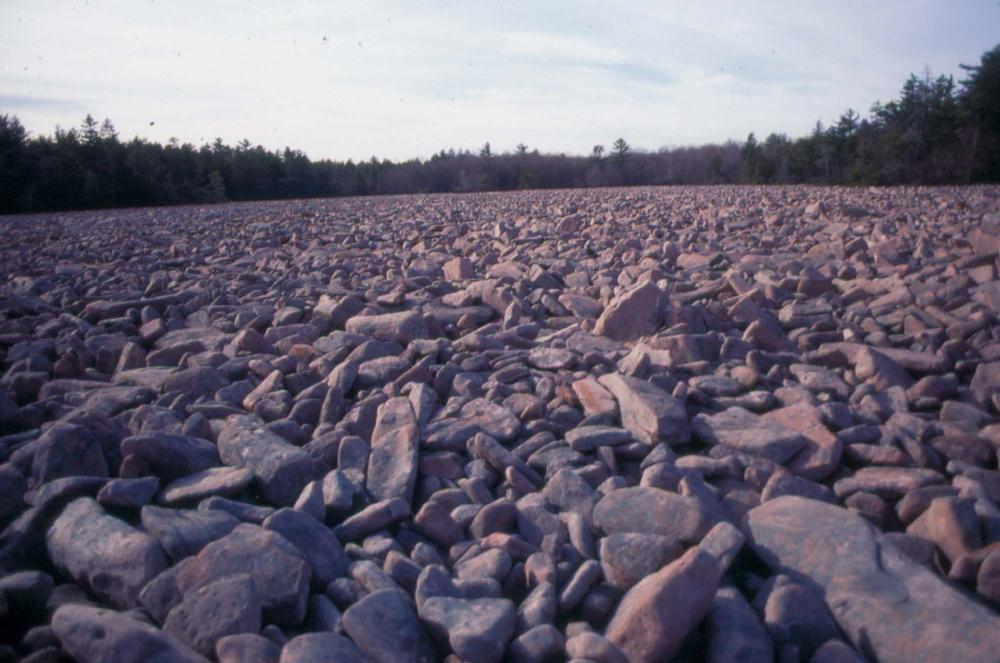 자갈밭 시리즈 참고사진 2