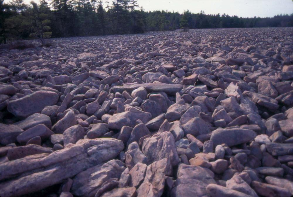 자갈밭 시리즈 참고사진 2