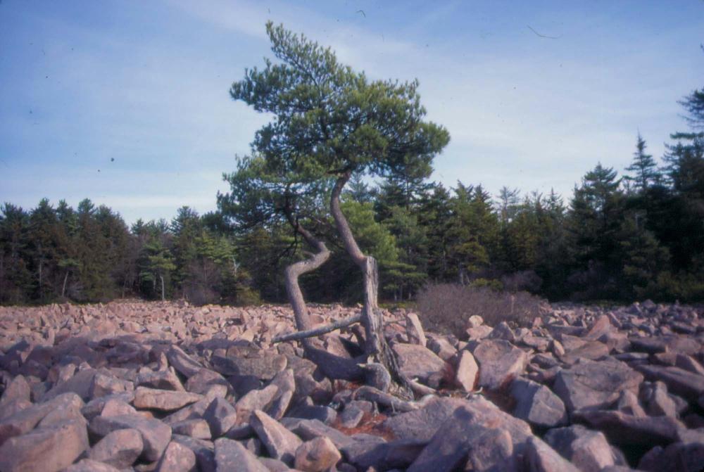 자갈밭 시리즈 참고사진 2