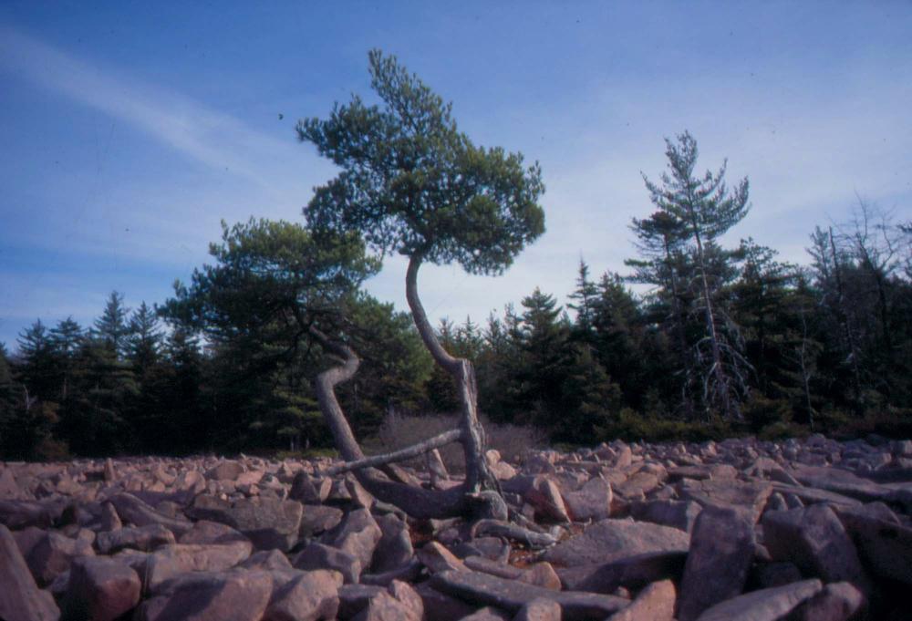자갈밭 시리즈 참고사진 2