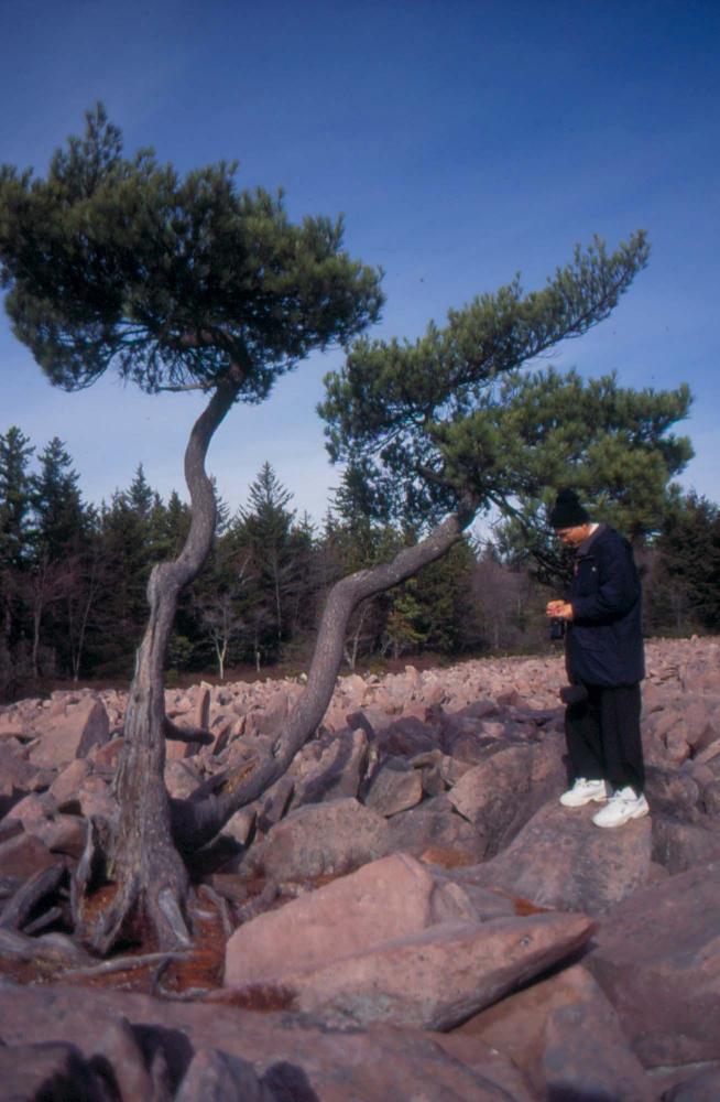 자갈밭 시리즈 참고사진 2