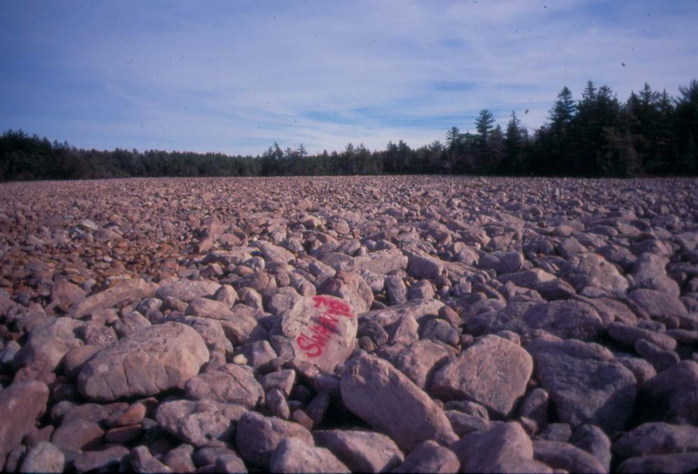 자갈밭 시리즈 참고사진 2