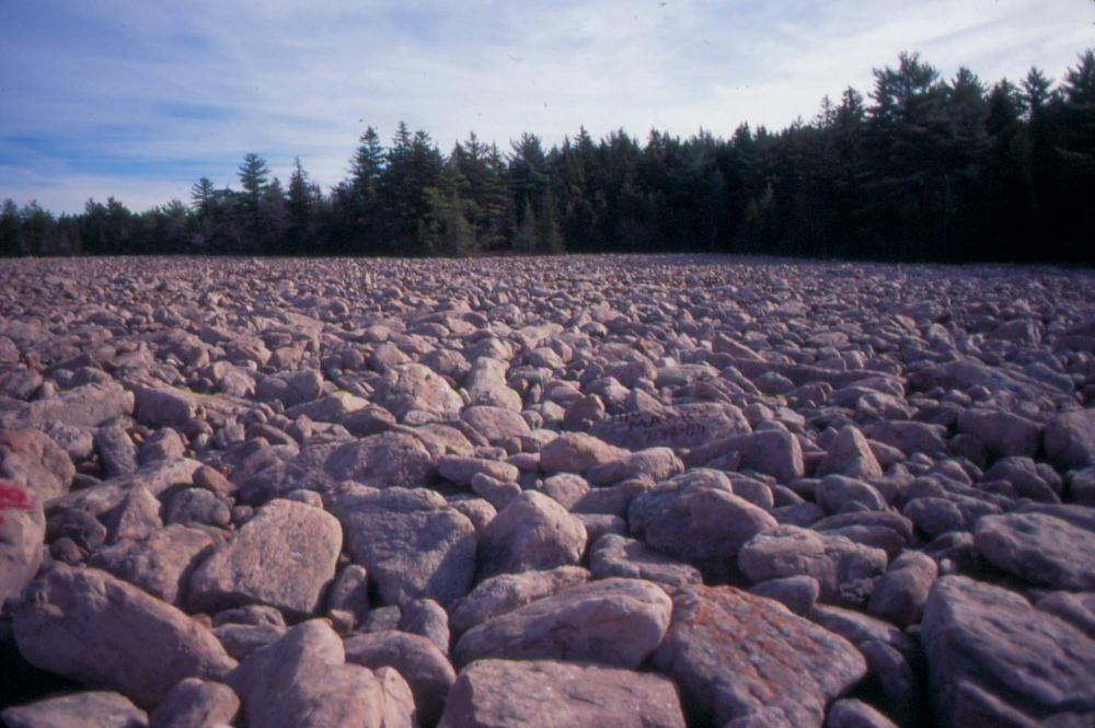 자갈밭 시리즈 참고사진 2