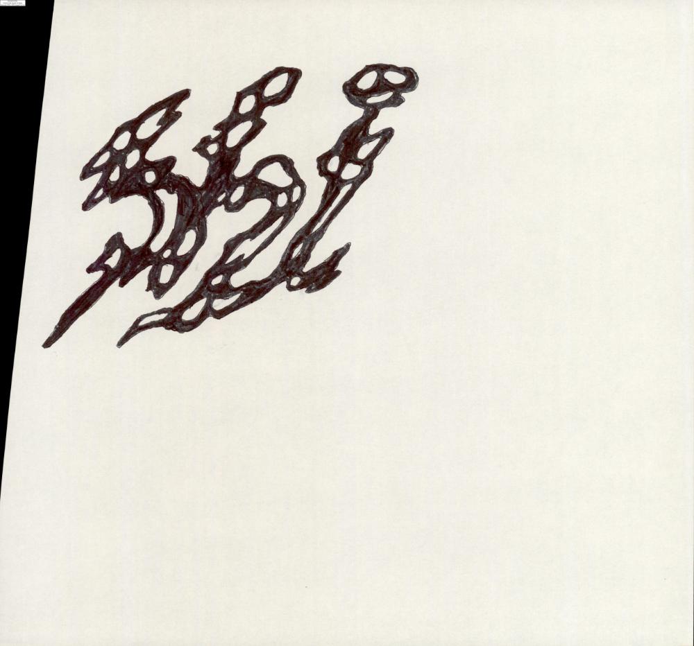 2007년 김홍석 참여 전시 관련 자료