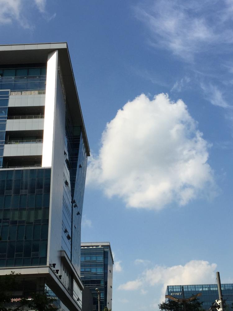 사진 작업 〈부차적 구성(subsidiary construction)〉을 위해 촬영한 사진
