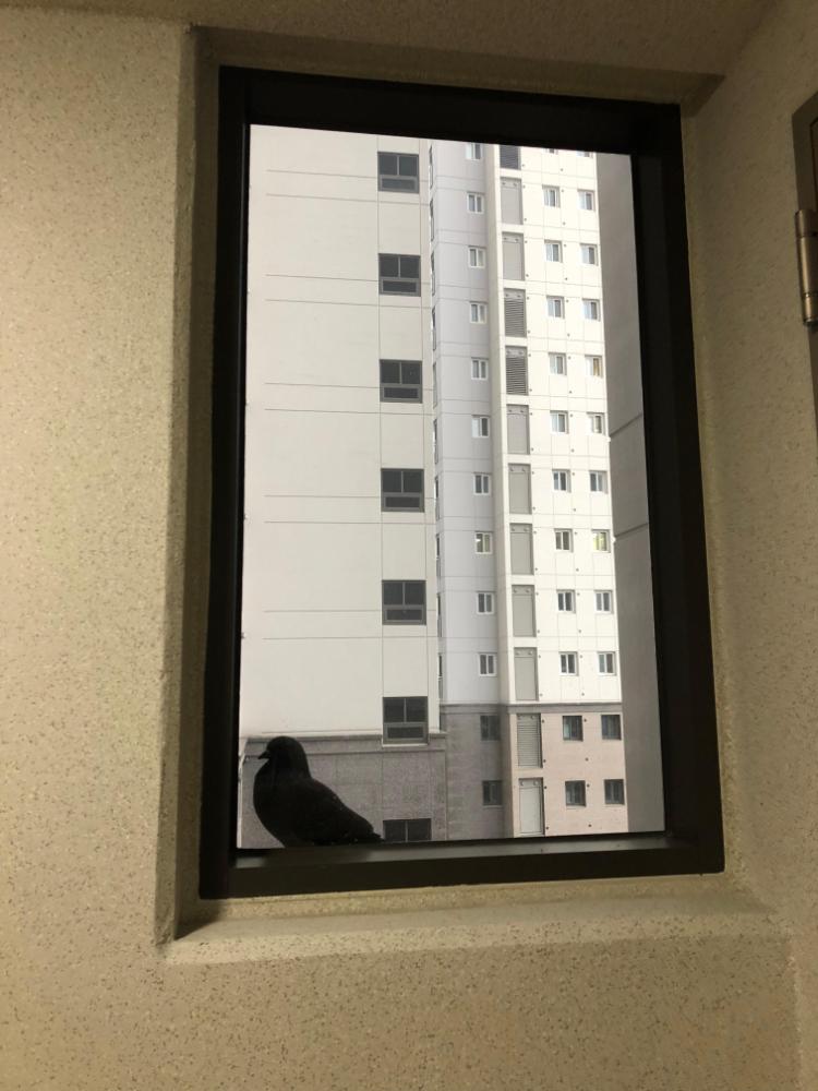 사진 작업 〈부차적 구성(subsidiary construction)〉을 위해 2018년에 촬영한 사진