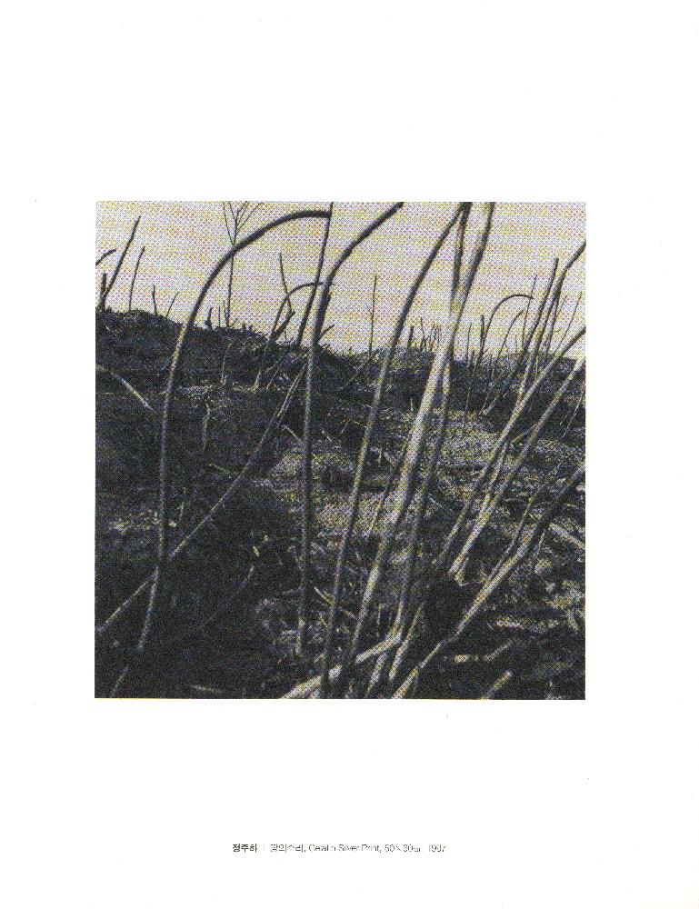 2002년 갤러리 라메르 기획전 《식물성의 사유》 도록