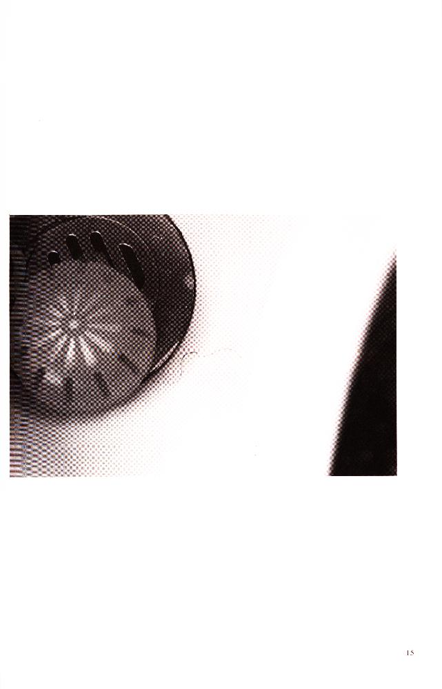 2002년 《인터프로젝트-공생》 도록