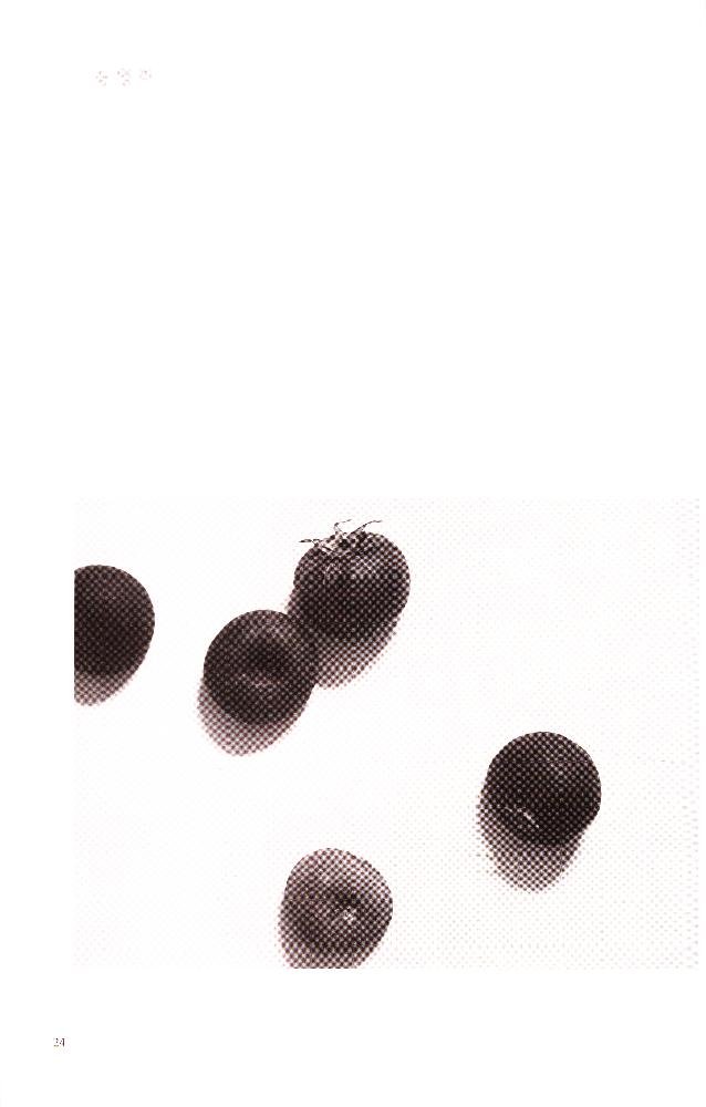 2002년 《인터프로젝트-공생》 도록